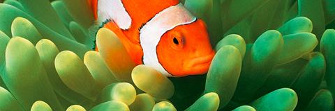 dhans_r's profile banner image