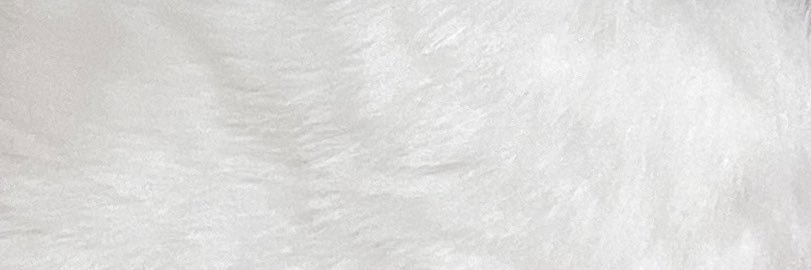 ねこｽ~ banner