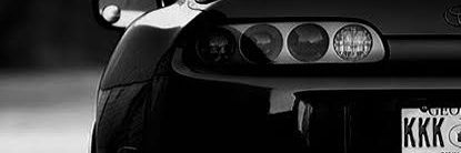 fluffy caterpillar banner