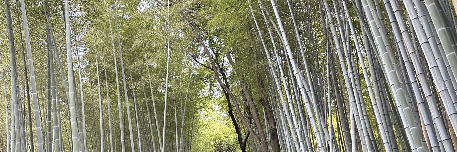 Luigipanda 🐼 banner