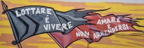 Rex Everything banner