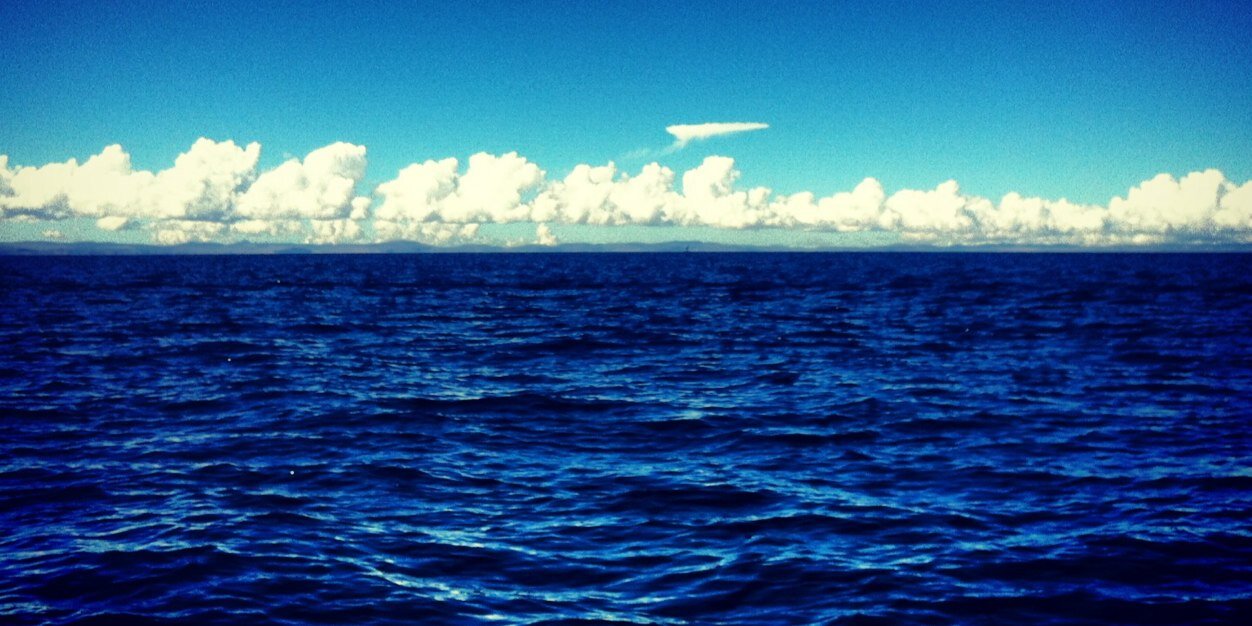 Virginia Béjar banner