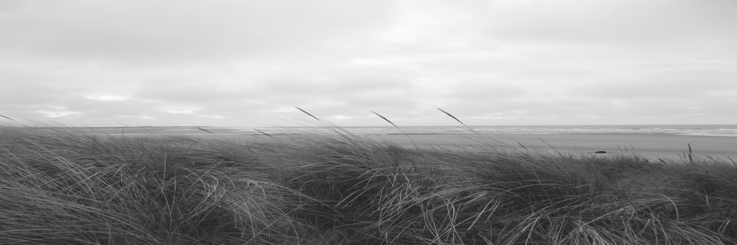 dumphreys's profile banner image