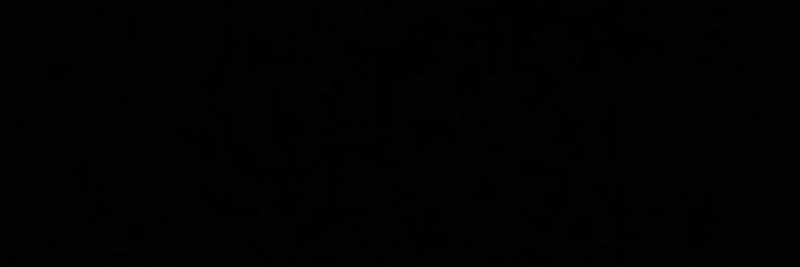 wed banner