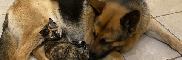 conormichael04 Profile Banner