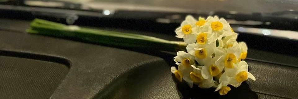 حَــوراء عَــليّ banner