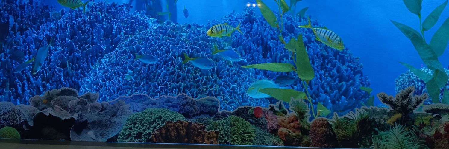 bubblebluuᝰ.ᐟ banner