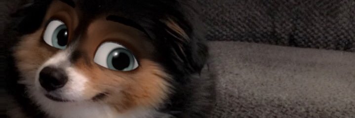 cathy72s's profile banner image