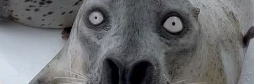 1OMEGA5's profile banner image