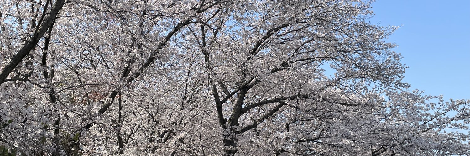 おーい？お茶🍵❤︎ banner