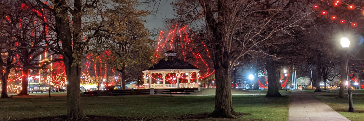 Losky 💚🧡 banner