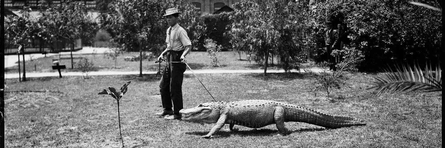 EfficientlyELITE banner