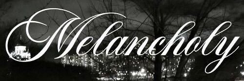 Paz banner