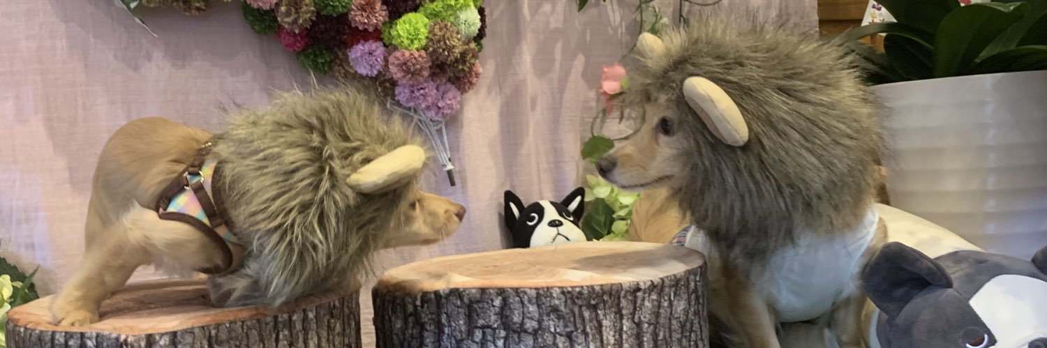 MIMIﾁｭﾙﾘﾗ♡ふわりともなの大冒険 banner