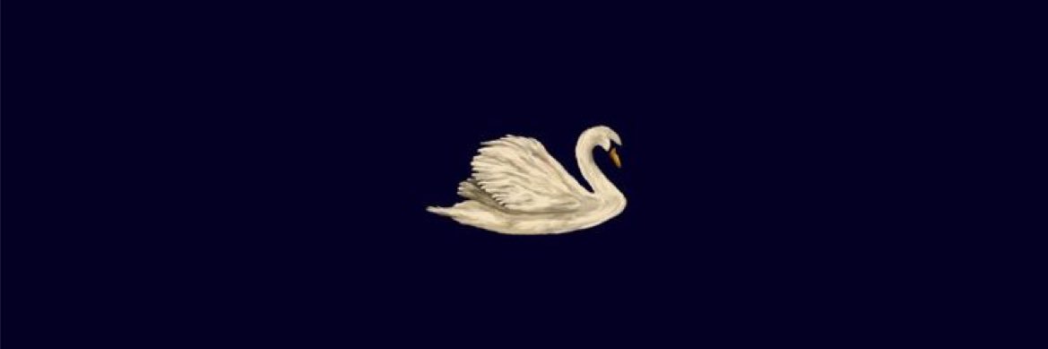 iici45's profile banner image