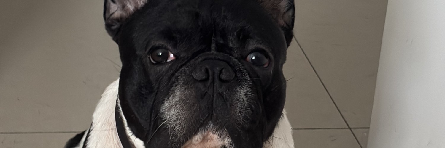 PauloDev85's profile banner image