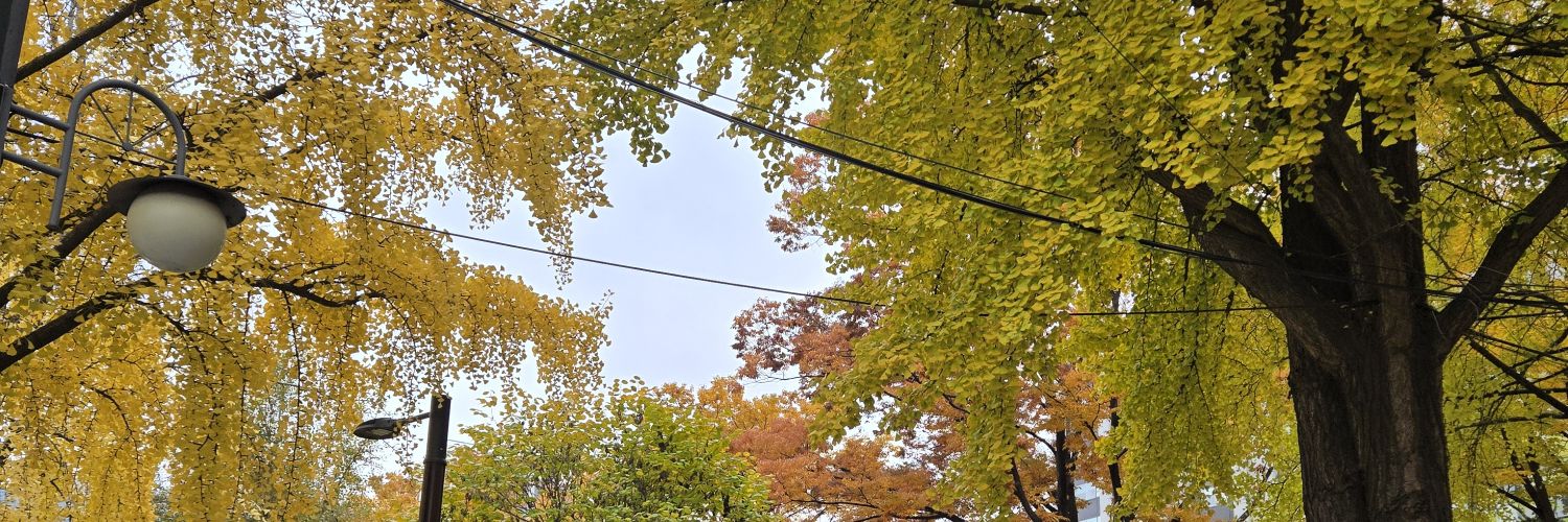 다래🏡🏡🏡🏡🏡 banner