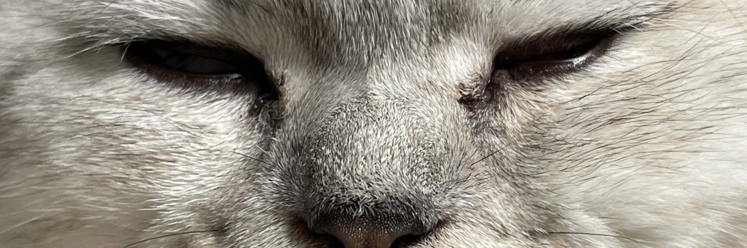 _mickeyohh's profile banner image