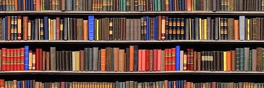 Andrew 🇸🇴 banner