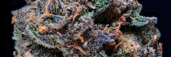 BLVCKMRKT Profile Banner