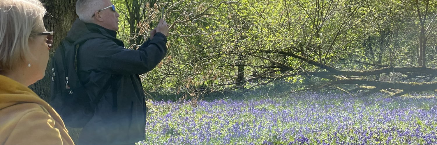 London Strollers banner