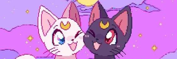 Neka🌸 banner