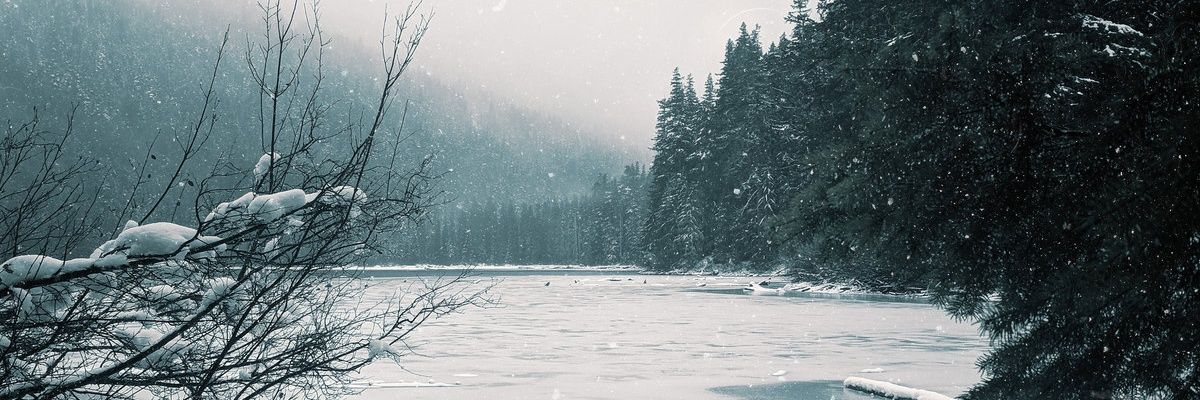 Molestado por demônios 🌲 banner