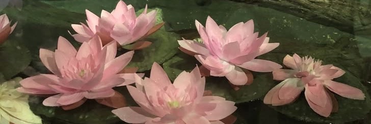 𝒥ie²⁸💌🪷 banner