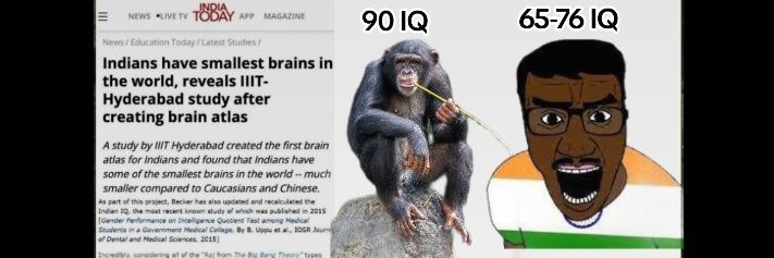 The Most Indian Things banner