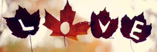 Pennridge Wellness banner