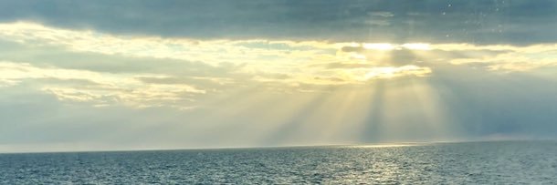 FilomenaGRosa's profile banner image