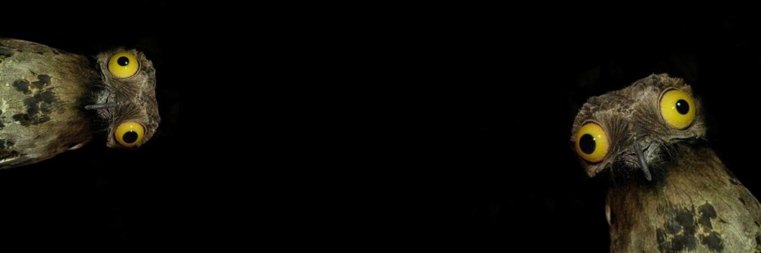spxbtc's profile banner image