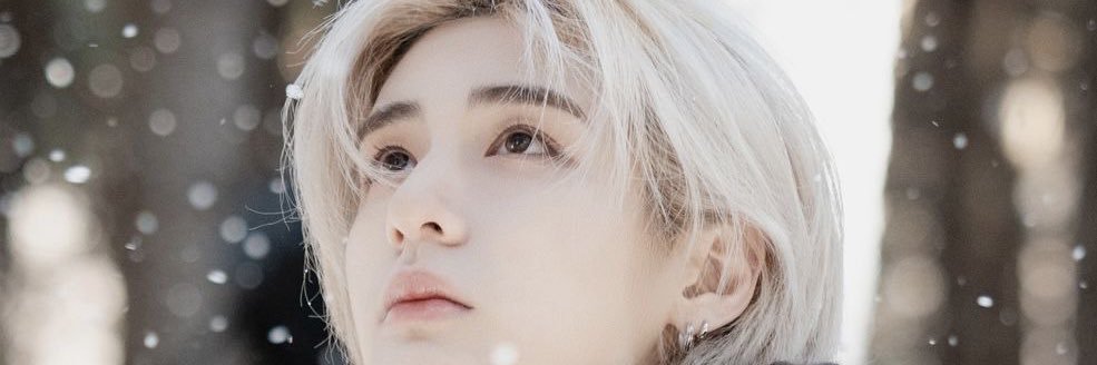 vy REST banner