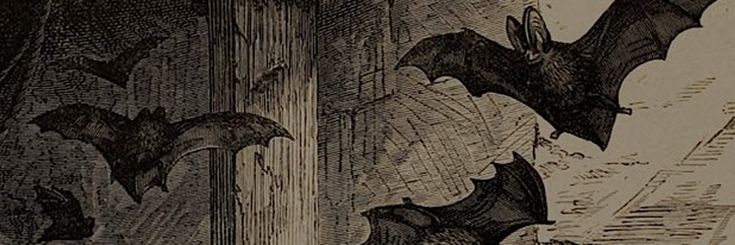 4am0r's profile banner image