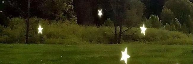 🦀 BottleCat🚦 banner