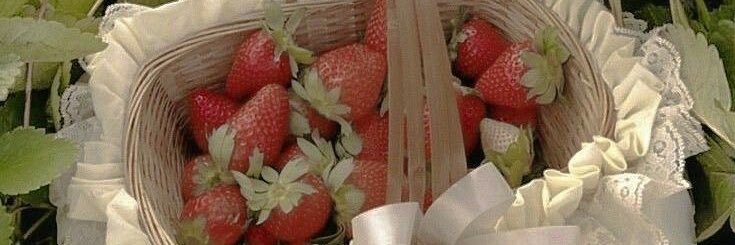 Fraise 🍓 banner