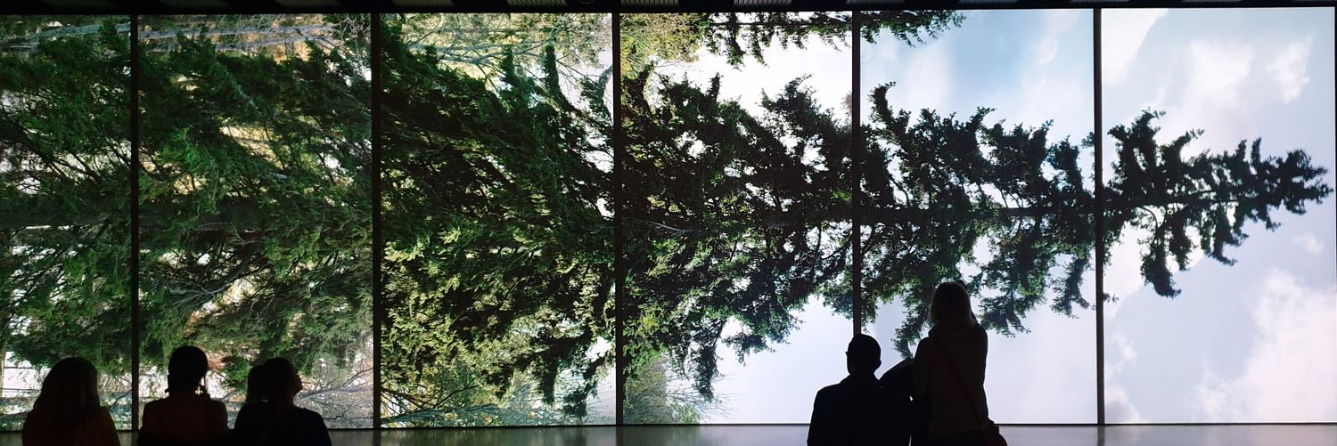 Dr Charlie Thompson banner