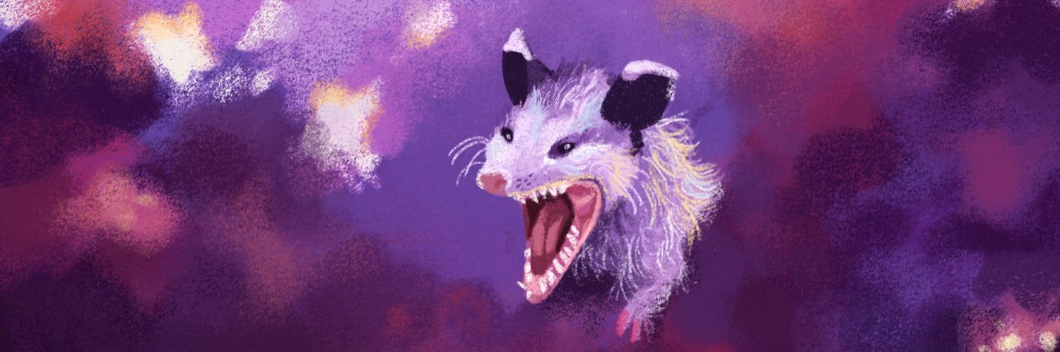 Possum banner