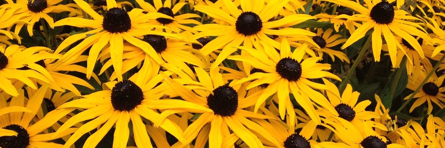 victoriaamy's profile banner image