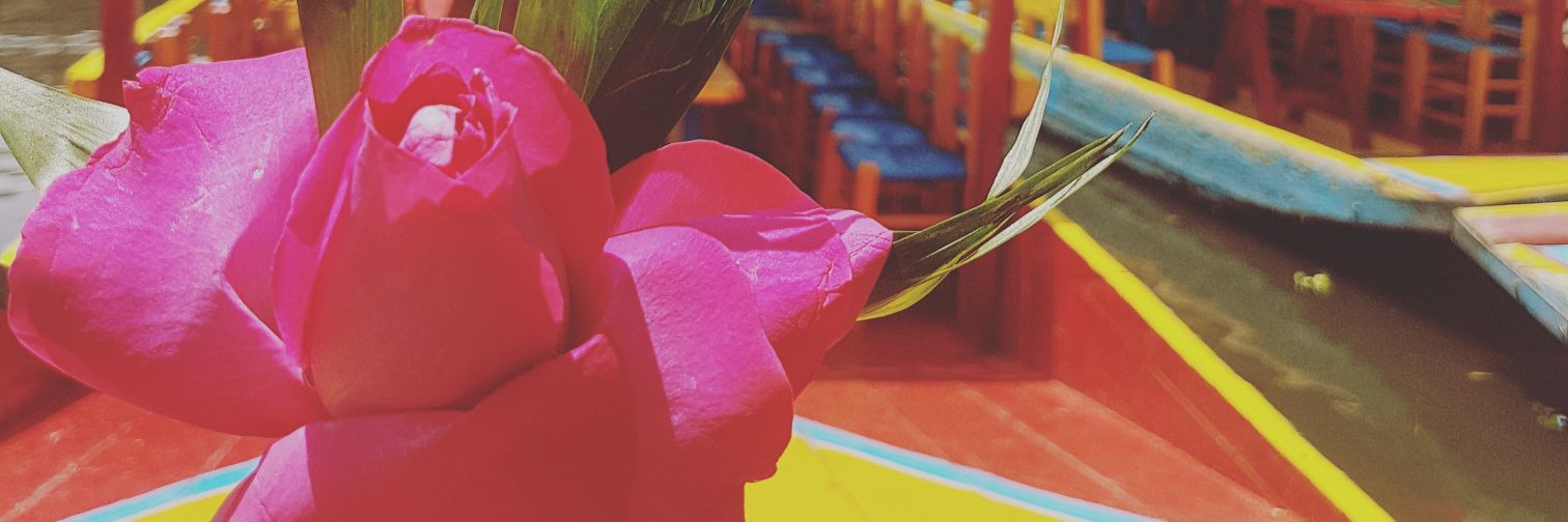 Lou_gm7's profile banner image