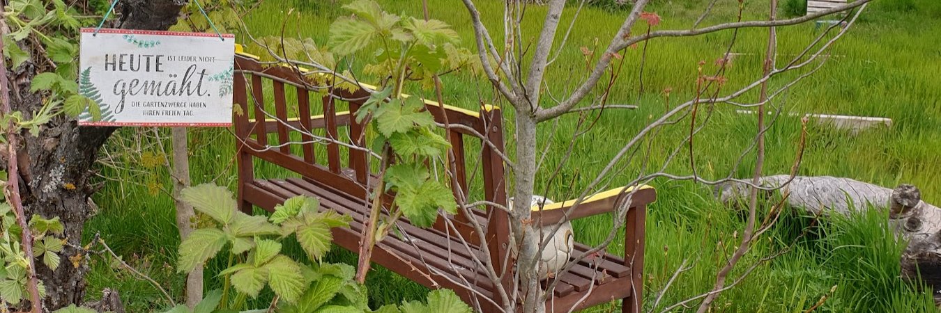 ıuƃǝqoɹɔɥ 💚🌍🕊🏳️‍🌈🇺🇦 banner