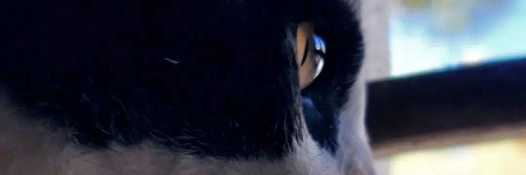 nstrn_mhm's profile banner image