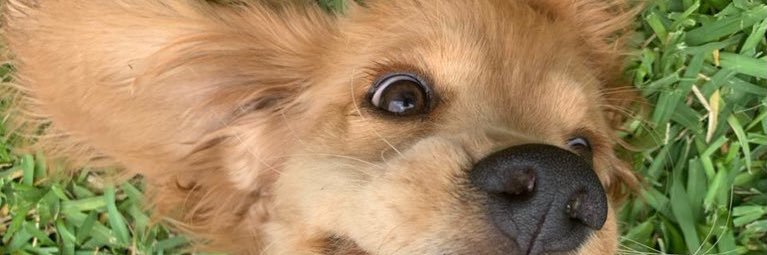 levivargas98's profile banner image