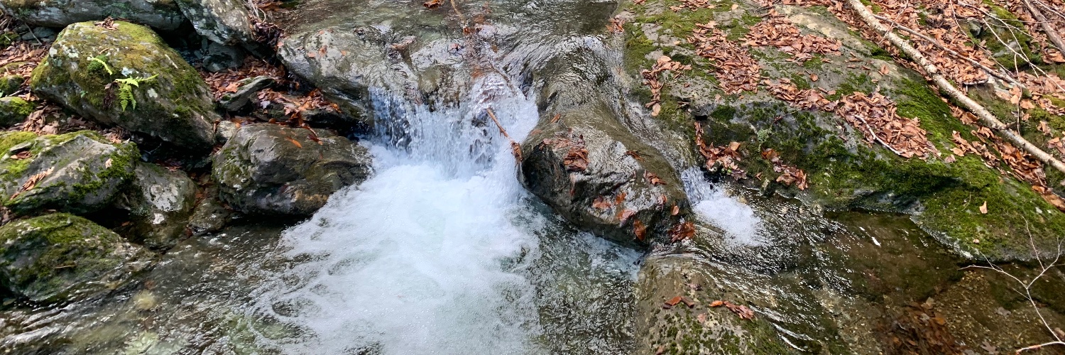 Patrick McConnell banner