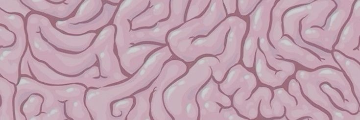 🦴 𝜗𝜚 ࣪˖ ִ𐙚 banner