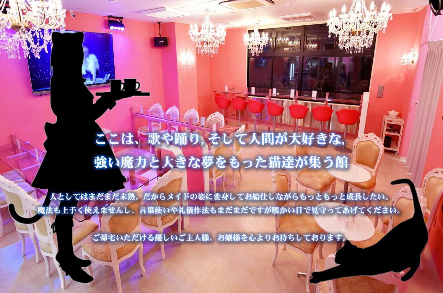 メイド喫茶みけねこカフェ《公式》 banner