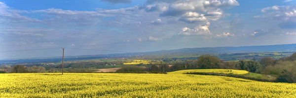 Cameron_Kinch Profile Banner