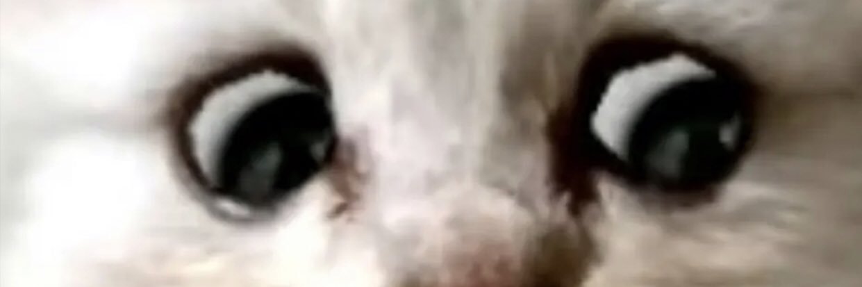 LynnzyL's profile banner image