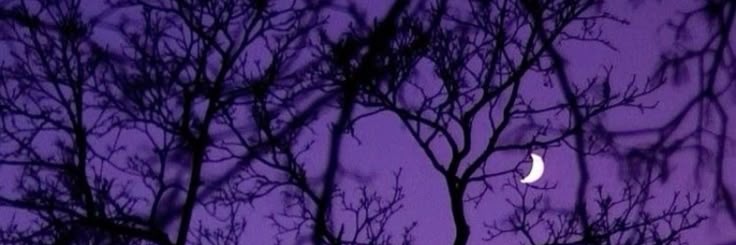 lau banner