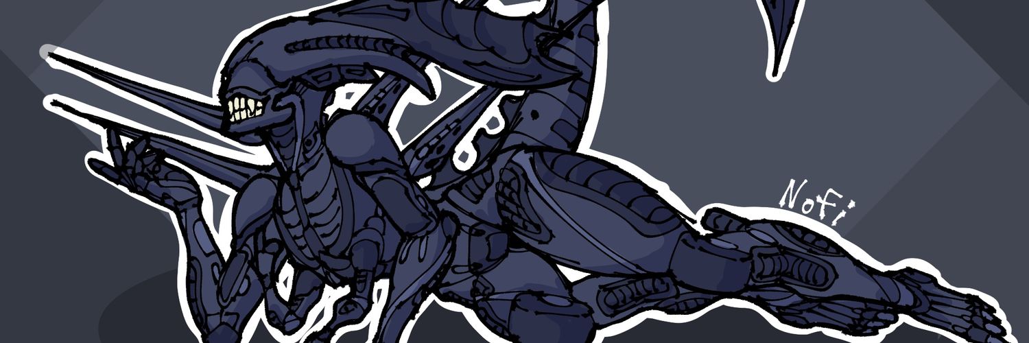 Nofi banner